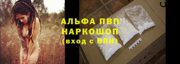 экстази Бородино