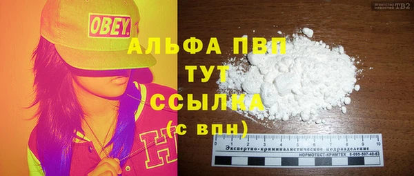 экстази Бородино